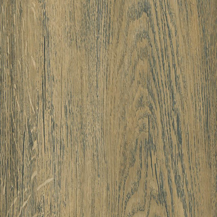 Дуб  Сомеро  1022